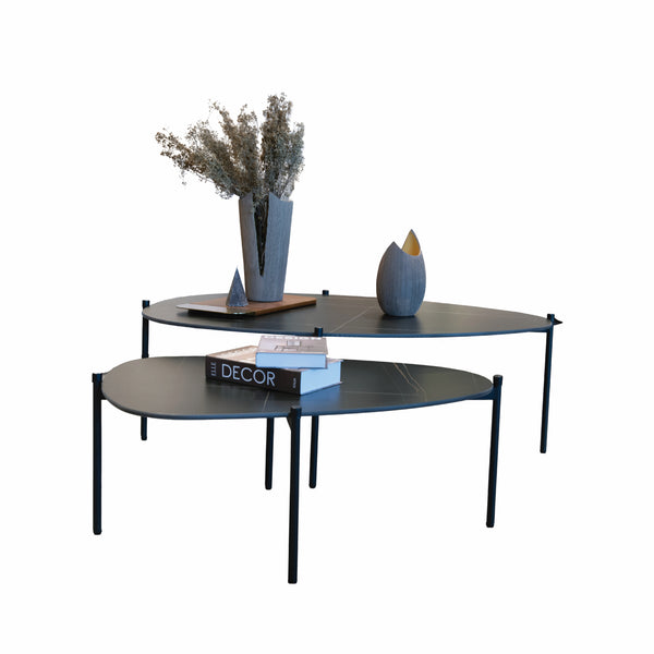 Artely Coffee Table set